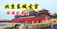美女操逼视频网站免费观看。中国北京-东城古宫旅游风景区